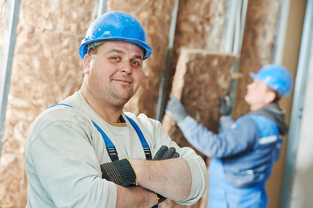 Best Types of Insulation in Southern Gateway, VA