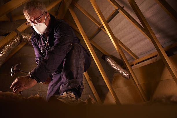 Best Specialty Insulation in Southern Gateway, VA